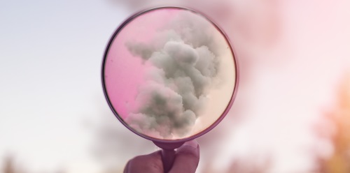 olharmos atentamento o rebanho