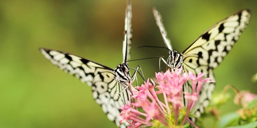 Somos filhos, somos semelhantes ao Filho de Deus
