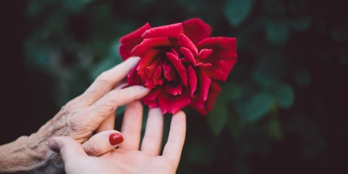 Salvarmos uns aos outros