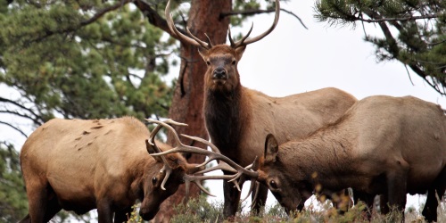 O que temos feito para salvar os outros