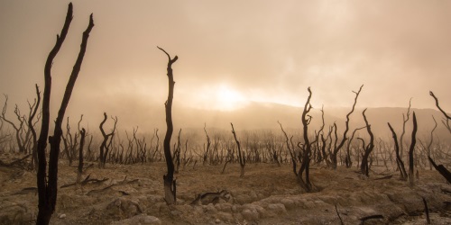 compreender o que significa estar vivo ou morto