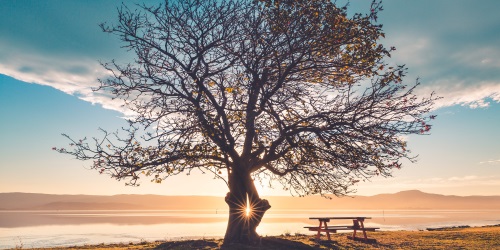 Fomos chamados para revelar o Pai ao mundo como a natureza