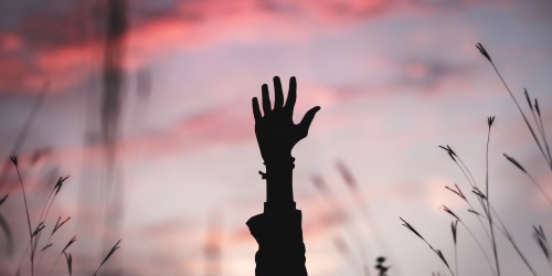 bryan-minear-317365 - 500x250