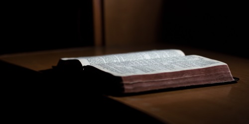 john-mark-kuznietsov-174918 - 500x250