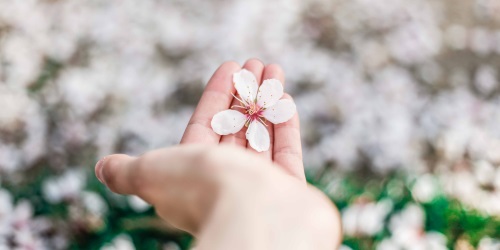 A fé se revela por obras