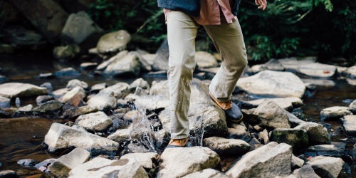 tanner-vines-37711 - 500x250