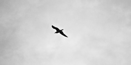 axel-antas-bergkvist-3151