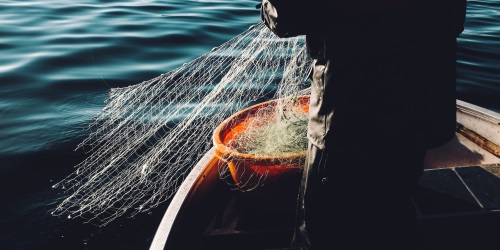 fredrik-ohlander-401681