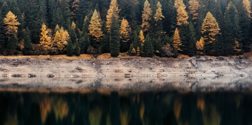 samuel-ferrara-270946