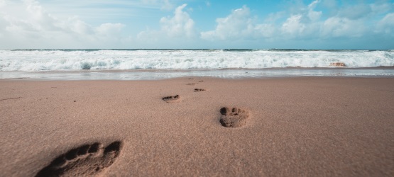 Uma nova criatura, um ser espiritual