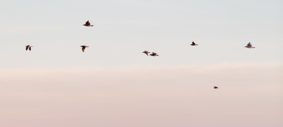 como filhos precisamos revelar o Pai ao mundo