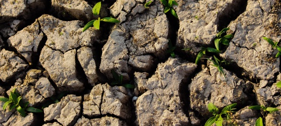 semeando a palavra de Deus