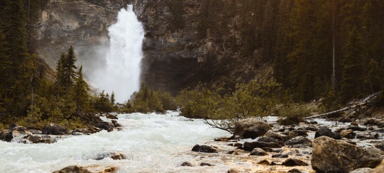 Testemunhar e revelar o Reino