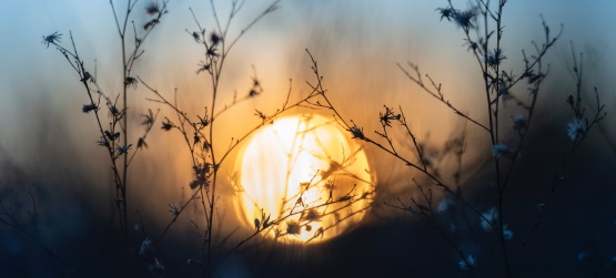 Haverá fé na terra no amanhã?