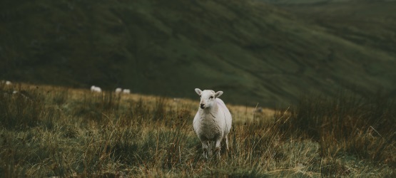 Purificação para servirmos ao Deus vivo