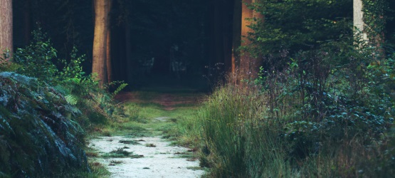 O que precisamos para revelar o Reino