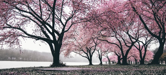 A Igreja é local de cura, não religiosidade