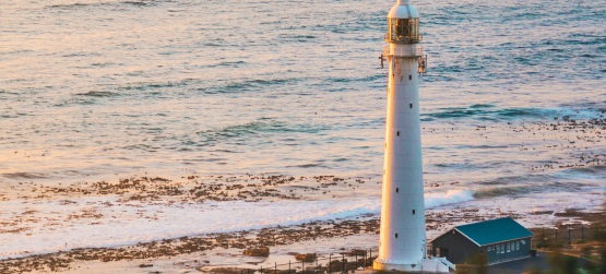 Enquanto houver vida