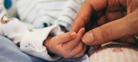 A maneira simples de revelar o Reino