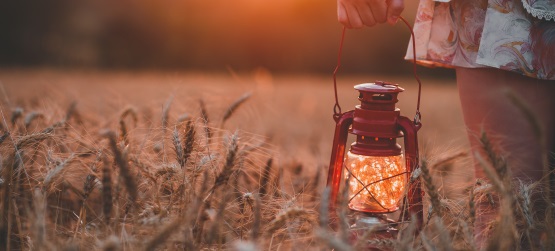 Entre a necedade e a prudência