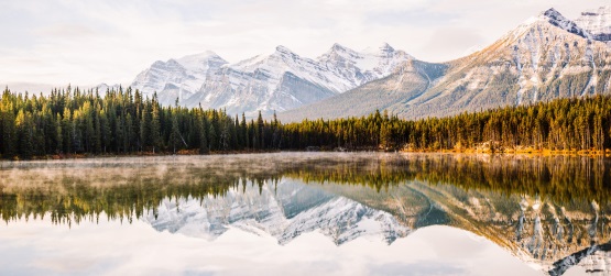 Uma oferta em favor de vidas