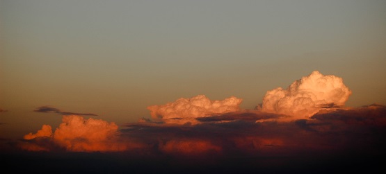 Independente de qualquer coisa, a palavra cresce