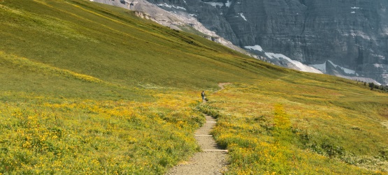 Além da convicção religiosa