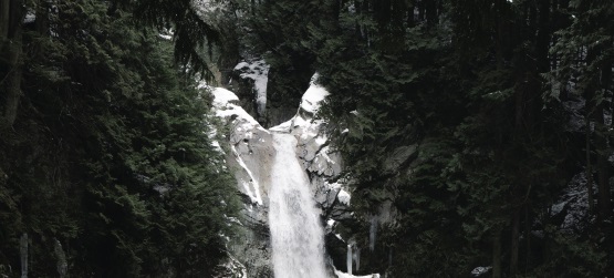 Um testemunho de compromisso