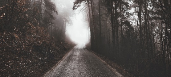 A confirmação do plano e vontade de Deus