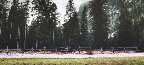 A manifestação da justiça divina