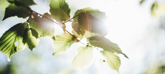 O cuidado de Deus e nosso papel