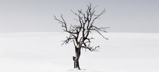 O início de um sonho para cumprir a vontade