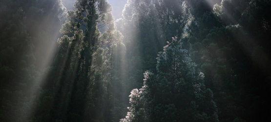 Somos tão religiosos!