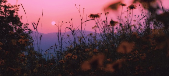 A escolha entre agir como pessoa natural ou espiritual