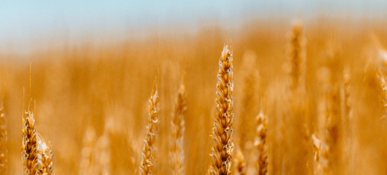 Não vivemos para nós mesmos