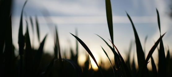 Autoridade leva a revelar Deus