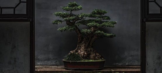 O devemos fazer para herdar a vida eterna?