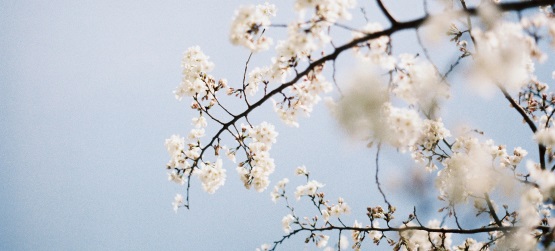 Compreendemos quem é Cristo?