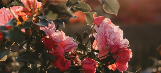 Não se trata só de aparência