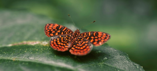 Somos santuários de Deus para Sua glória