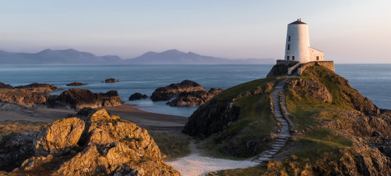 De tudo para ganhar algum