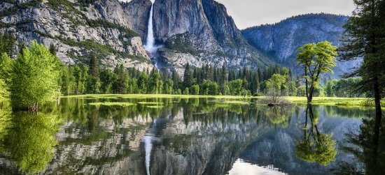 Por que seremos odiados?