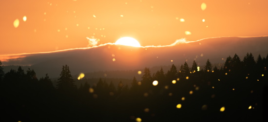 A maneira de nos portar