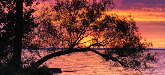 Constrangidos pelo amor de Cristo