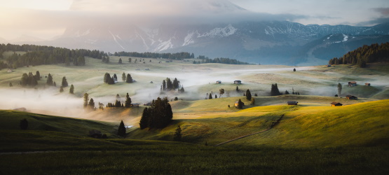 or que insistimos em religiosidade?