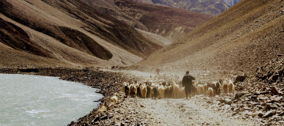 O bom e o mau pastor