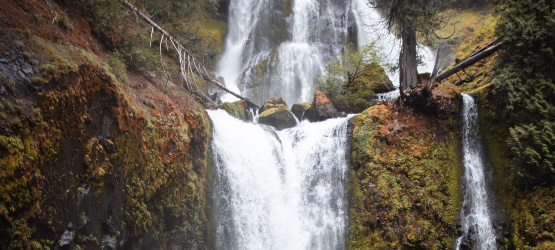 A vontade do Pai e o desejo do pensamento natural há