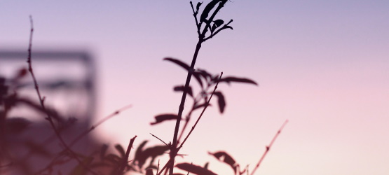 A fonte da autoridade