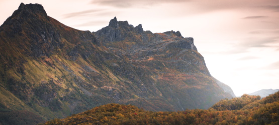 No final dos tempos: duas testemunhas