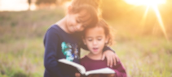 A vitória por causa do sangue